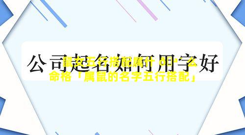 鼠女五行搭配属什 🪴 么命格「属鼠的名字五行搭配」